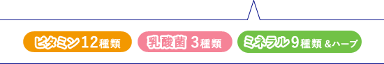 ビタミン12種類 乳酸菌3種類 ミネラル9種類&ハーブ